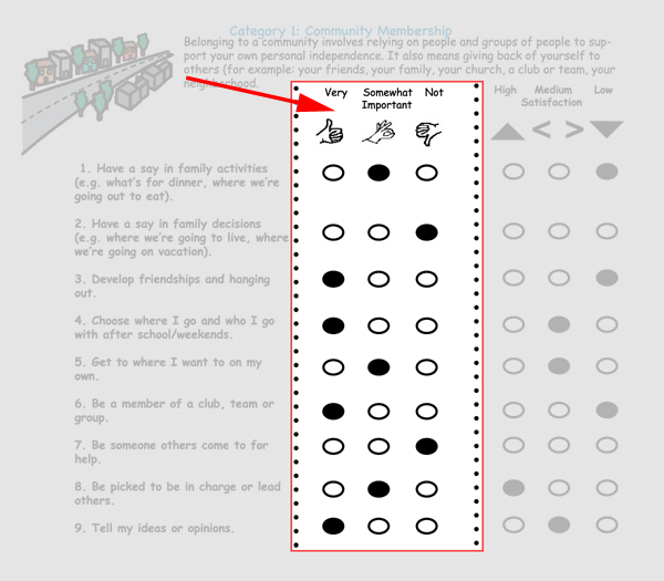 Image of a section of the FAF survey, highlighting an insert of three multiple choice columns with the titles Very, Somewhat Important, and Not