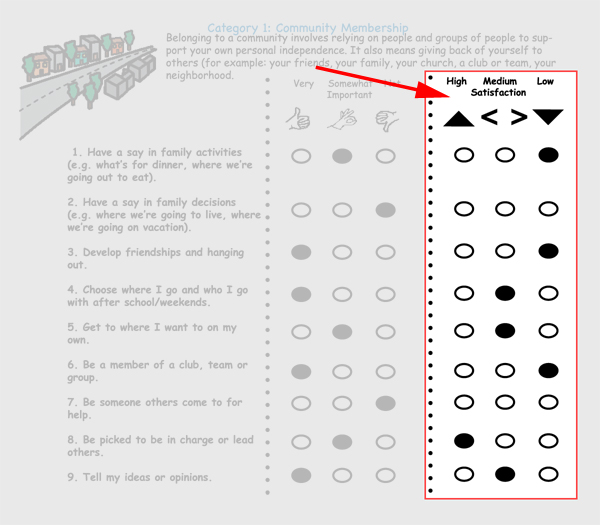 Image of a section of the FAF survey, highlighting an insert of three multiple choice columns with the titles High, Medium Satisfaction, and Low